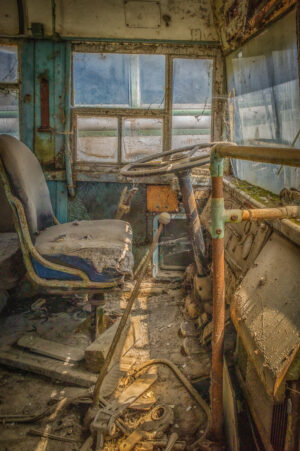 Beauty Among the Buses 3