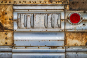 Beauty Among the Buses 5
