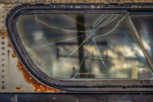 Beauty Among the Buses 6