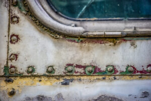 Beauty Among the Buses 7
