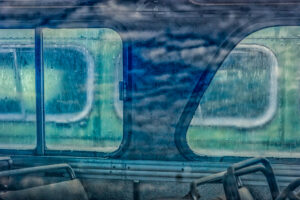 Beauty Among the Buses 9
