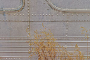 Beauty Among the Buses 11