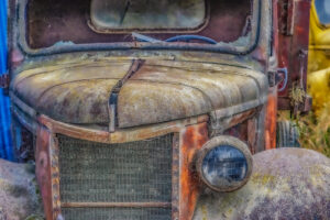Beauty Among the Buses 13