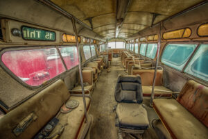 Beauty Among the Buses 15