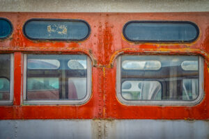 Beauty Among the Buses 16
