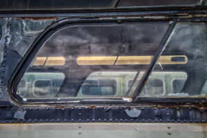 Beauty Among the Buses 17