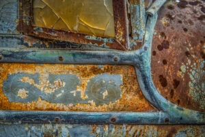 Beauty Among the Buses 19