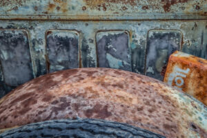 Beauty Among the Buses 21