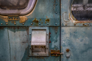 Beauty Among the Buses 22