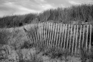 Andrew Ferko - New England 1286