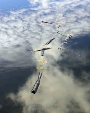 Belinda Sellari - Limb Lying in a Cloud