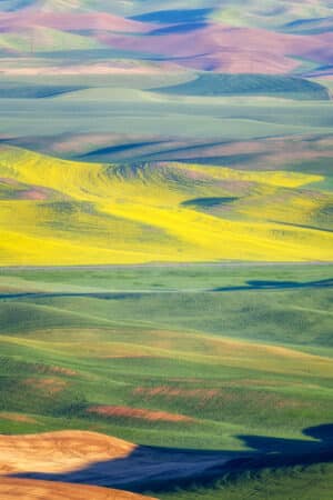 Cecilia Clark - Waves of Color