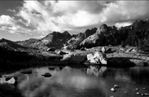 Gary Button - View From the Pond