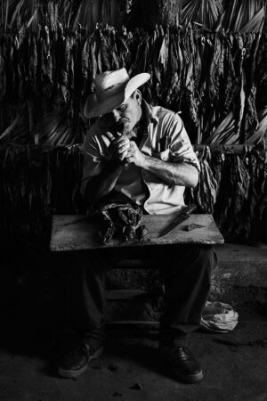 Gino Creglia - Vinales Valley, Tobacco Farm