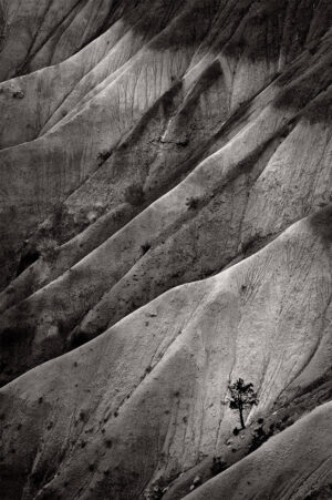 Jeff Redman - Not Looking at Zabriski Point