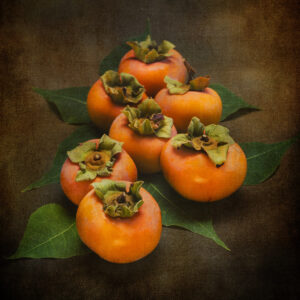 Judy Yemma - Rebecca's Persimmons