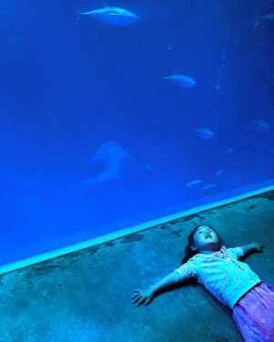 Katherine Weedman-Cox - Mermaid