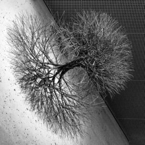 Mark Rideout - Asawa