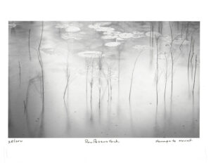Ron Rosenstock Gift of Mark Howell - Homage to Monet 38/350