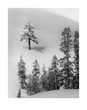 Todd Paige - Above the Crowd