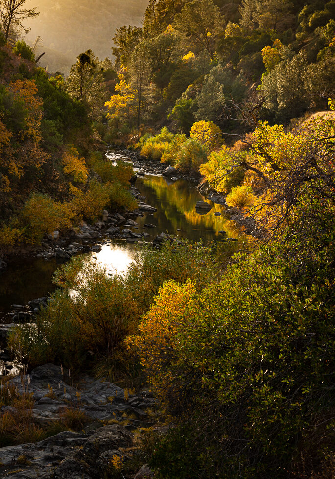 Fall Color Along Cache Creek