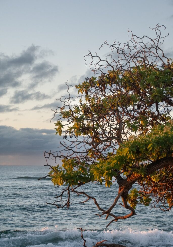 Kauai Sunrise