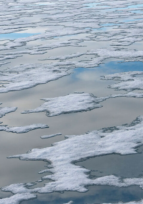 image-afternoon-mosaic_C02_james-wilson