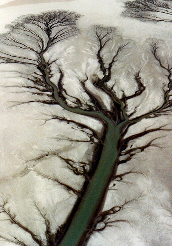 image-baja-peninsula-framed_a-24_james-r-swartzlander