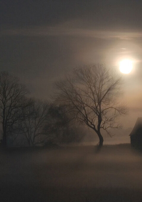 image-fog-housea-03sharon-bussert_0